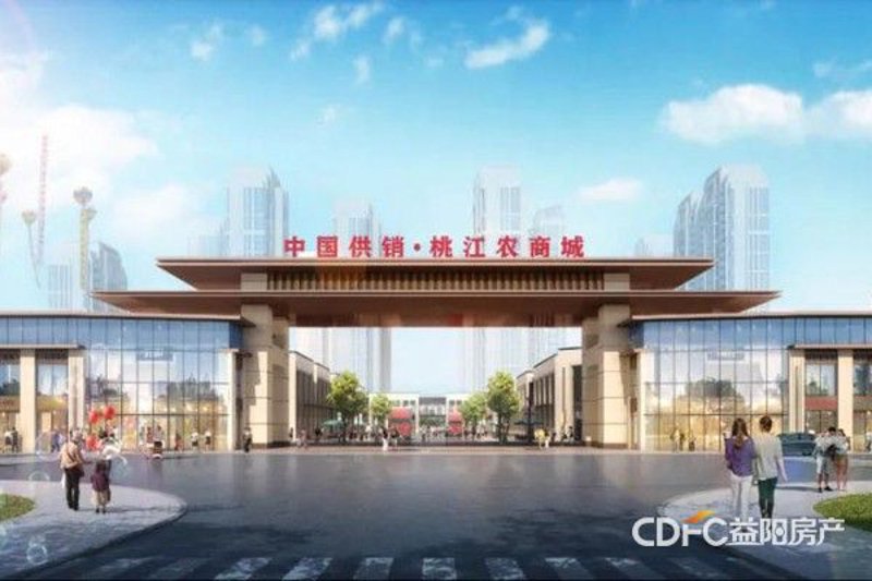 楚寒衣的小说:一场文字的盛宴